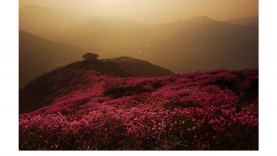 조광의 미(영취산)