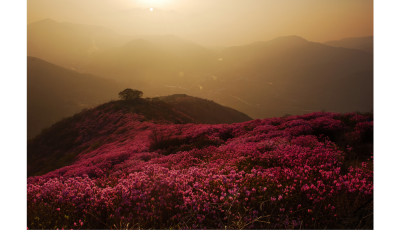 조광의 미(영취산)