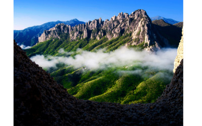 울산암의 봄(설악산)