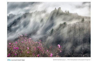 문장대에 진달래 필 때 (속리산)