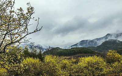 산동