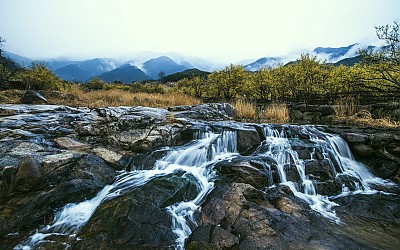 신동 산수유 계곡에는