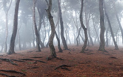 익산 배산공원