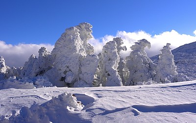 한라산,.