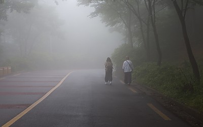 동행