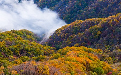 지리산의 가을