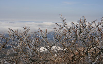 덕유산 상고대