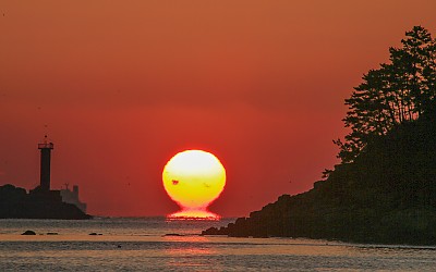 외계인 오여사