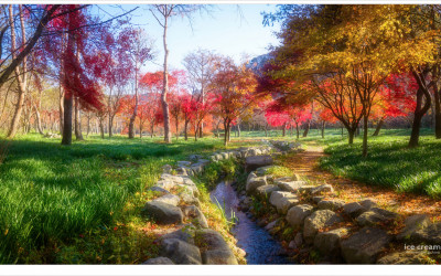 싱그러운 가을 아침