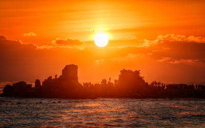 2026년 새해 일출