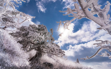 덕유산 ! - 덕유산