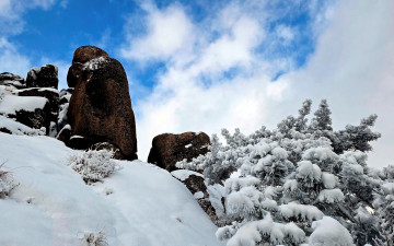 월출산. - 월출산