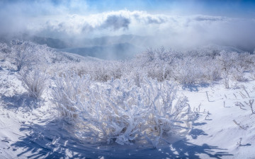 계방산 상고대 - 오대산