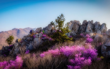 빛을 기다리는 길목에서.. - 덕룡산(주작산)