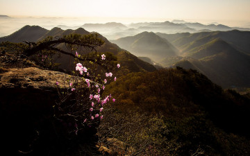 대둔산의 아침 빛! - 대둔산
