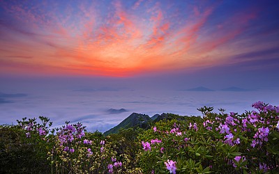 신불산의 봄-신불산