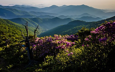 함백산의 봄 - 함백산