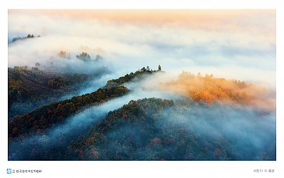 수경산초가을