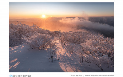 오대산의 겨울