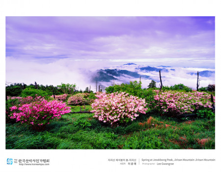 지리산 제석봉의 봄