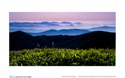 덕유산의 산죽 능선