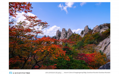 설악산 용아장상의 단풍