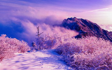 빙화와 운해_지리산