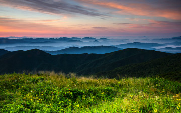 야생화 천국의 덕유산!