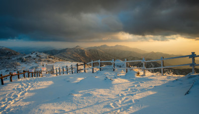 당황하게 만든 순간!