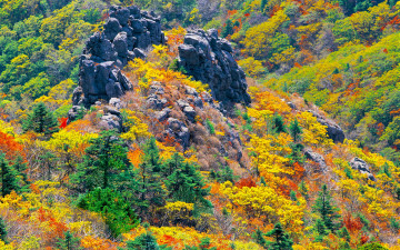 추억의지리산  125  박환윤