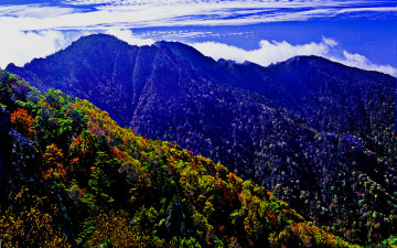 추억 의지리산   129   박환윤