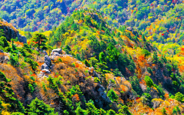 추억의지리산   133  박환윤