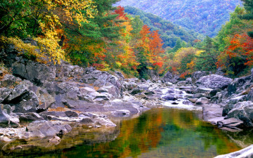 추억의지리산 126  박환윤