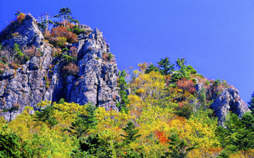 추억의지리산  130   박환윤