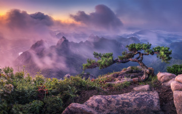 월출산 다녀왔습니다.