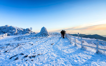 향적봉을 전세 내다.