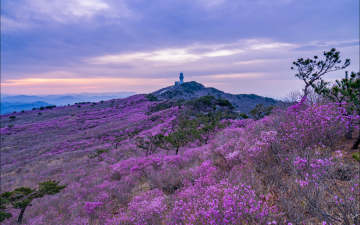 다시찿은 비슬산
