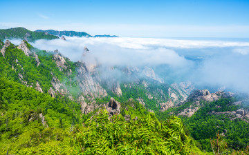 싱그러운 설악의 신록