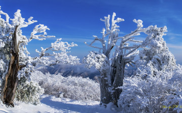 시련을 이겨냅시다.