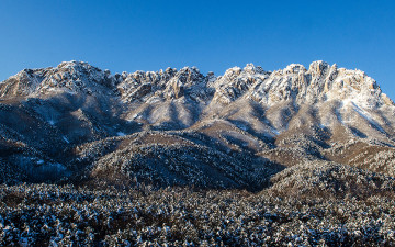 눈꽃 만발한 울산바위!