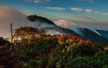 지리산 중봉의 가을아침빛!