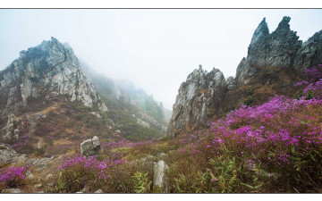 운해속의 덕룡산