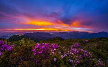 지리산의 아름다움