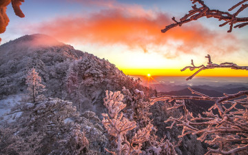 가고싶은 겨울속