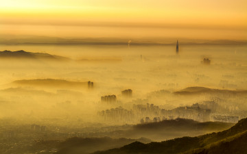 안개가 드리운 도심의 풍경