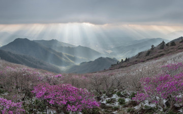 환타지아 덕유 #2