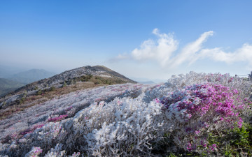 환타지아 덕유!