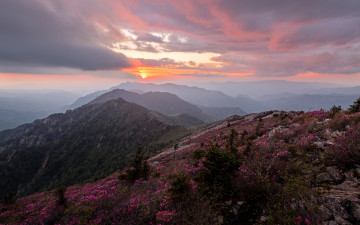 저물어 가는 봄 늦은 저녁 빛