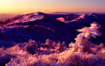 덕유와 지리를 한 컷에...