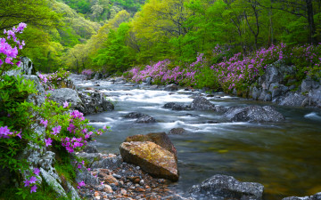 지리산 달궁계곡